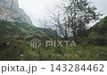 Scenic POV View Of Mountain Canyon From Moving Off-Road Vehicle Window 143284462