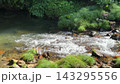 銀山温泉近くの渓流　苔むした岩と澄んだ流れ 143295556
