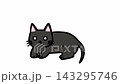 寝ている黒猫が伸びをするループアニメーション 143295746