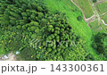 俯瞰で見る雑木林 143300361