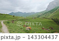 Scenic Mountain Valley Road Trip View During Summer Travel Vacation 143304437