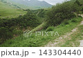 Action POV Driving Off-Road SUV Through Untamed Mountain Canyon Trail 143304440