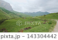 Wide Angle Panorama Of Winding Mountain Dirt Road Through Alpine Green Meadows 143304442