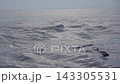 A pod of striped dolphin jumping outside the water at slow motion 143305531