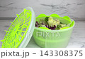 Fresh mixed iceberg and radicchio salad leaves inside plastic salad spinner on kitchen table for washing drying and preserving greenery concept. 143308375