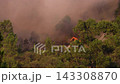 Scenic outdoor view of green trees and nature landscape in countryside Scenic outdoor view of green trees and nature landscape in countryside 143308870