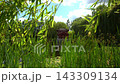 Static View of Traditional Red Pavilion Framed by Bamboo and Reeds  143309134