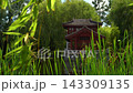 Static View of Traditional Red Pavilion Framed by Reeds and Bamboo 143309135