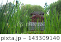 Static View of Red Garden Pavilion Behind Swaying Reeds by Pond 143309140