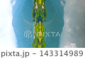 エメラルドブルーの水面に山々脈と空が反射する池田池の風景（愛媛県新居浜市） 143314989
