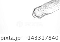 Closeup cosmetic serum fluid gel with bubbles from dropper, pipette over white 143317840