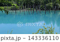 北海道美瑛町の青い池、枯木と静かな波紋と風の香り 143336110