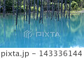北海道美瑛町の青い池 143336144