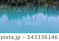 北海道美瑛町の青い池 143336146