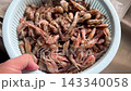 Shake the fresh shrimp in a colander to remove excess water. 143340058
