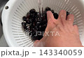 A scene of preparing clams by washing them under running water in a colander. 143340059