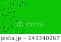 Flying Bats on Green Screen 143340267