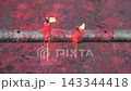 Two vibrant red candles are burning 143344418