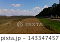 Flying over a wheat field near a beautiful country road between tall trees  143347457