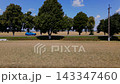 A picturesque road in an alley of trees and wheat fields around with a blue car driving along it with travelers inside 143347460