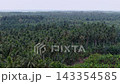Expansive aerial view of coconut palms and coastal horizon at Ayer Baloi. 143354585