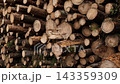 Slowly drifting close view of stacked cut logs with rough bark, moss, and circular ends, forming dense natural wood texture in rustic outdoor storage, suitable for forestry, timber, and construction. 143359309