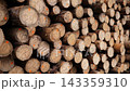 Logging industry fresh stacked logs background 4k 143359310
