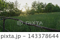 Scenic countryside meadow during golden hour sunset 143378644