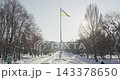 Ukrainian flag waving in a snowy winter park 143378650