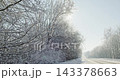 Scenic winter road through a snowy forest on a sunny day 143378663