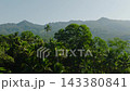 Fresh green foliage, tropical plants and trees covers mountains and ravine. Mindanao. Philippines. View from above. 143380841