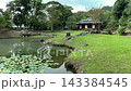 原島津家族玉裡宅邸的花園俯瞰著一個池塘，池塘裡漂浮著睡蓮葉，旁邊還有一間茶室。 143384545