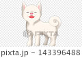 一段循環播放的插畫視頻，畫面中一隻笑容燦爛的柴犬（白色柴犬）不停地搖著尾巴。 143396488