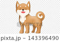一段循環播放的動畫視頻，畫面中一隻笑容燦爛的柴犬（紅色柴犬）不停地搖著尾巴。 143396490