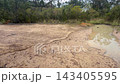 Footage of flooding and surrounding forestry on the edge of Sassafras Gully after a severe thunderstorm in the regional town of Springwood in the Blue Mountains in New South Wales, Australia 143405595