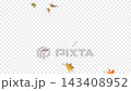 A 3D video of falling maple leaves. The background is transparent. 143408952