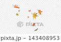 A 3D video of maple leaves falling from directly above. The background is transparent. 143408953