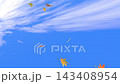 [3D Video] Looking Up at the Autumn Blue Sky (Part 2) Maple Leaves and Blue Sky 143408954