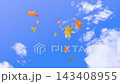 [3D Video] Looking Up at the Autumn Blue Sky (Part 1) Maple Leaves and Blue Sky, Falling Leaves from Directly Above 143408955
