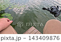 POV Hand Holding Small Caught Fish Near Wooden Dock 143409876