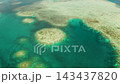 Sea water surface in lagoon with coral reef copy space for text, aerial view. Top view transparent turquoise ocean water surface. background texture 143437820