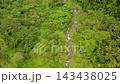 River in the valley among the rainforest, covered with trees and jungle aerial view. River in the green forest. Camiguin, Philippines. 143438025