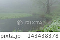 Meifeng Farm is shrouded in mist, with tranquil and ethereal scenery reflected in its mountain ponds. 143438378