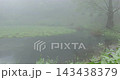 Meifeng Farm is shrouded in mist, with tranquil and ethereal scenery reflected in its mountain ponds. 143438379