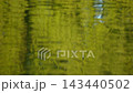 The shimmering surface of the water in early autumn 143440502