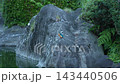 Kingfisher perched on a rock 143440506