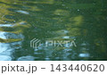 The shimmering surface of the water in early autumn 143440620