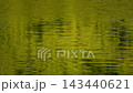 The shimmering surface of the water in early autumn 143440621