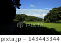 日本の原風景である横浜市内に残る「寺家ふるさと村」の夏の田んぼと青空と流れる雲　タイムラプス 143443344