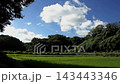 日本の原風景である横浜市内に残る「寺家ふるさと村」の夏の田んぼと青空と流れる雲 143443346